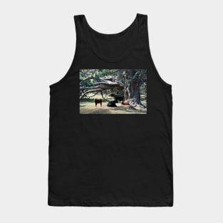 Nouvelle Zélande - Péninsule de Coromandel Tank Top